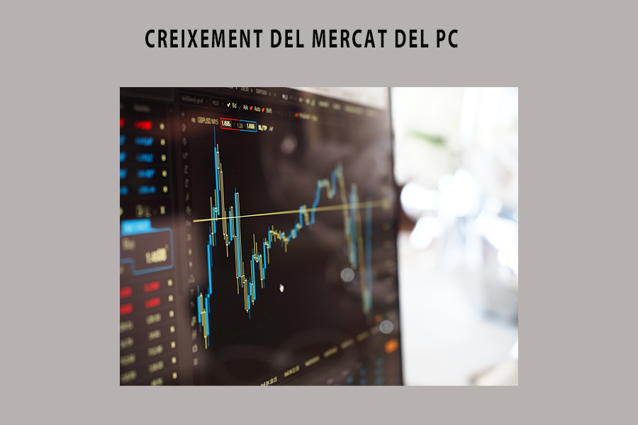 Noticia19